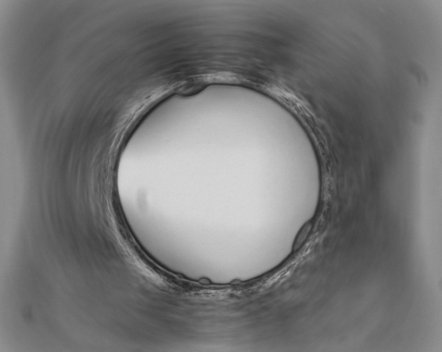 X0000111780049200908061124