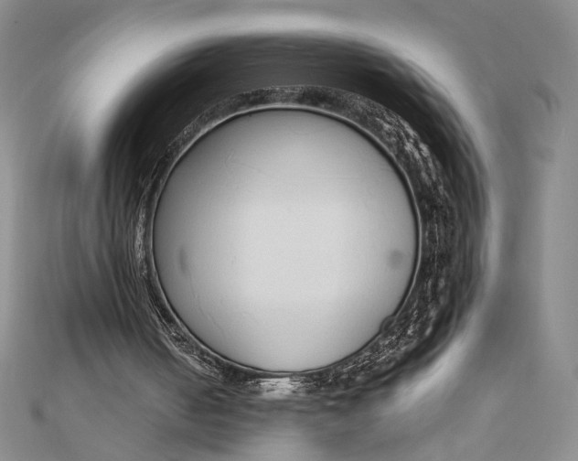 X0000111780050200908061124