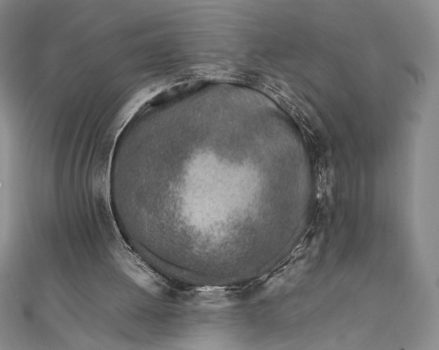 X0000111780052200908061124