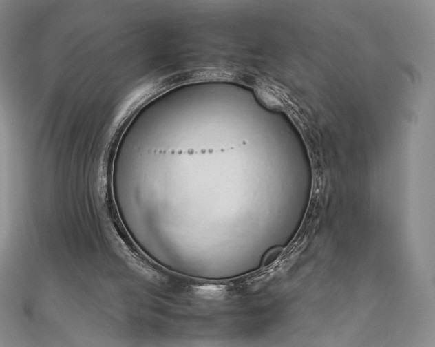 X0000111780053200908061124