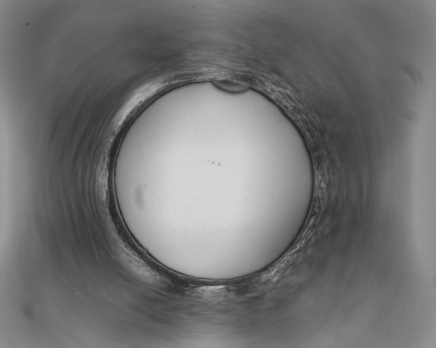 X0000111780054200908061124
