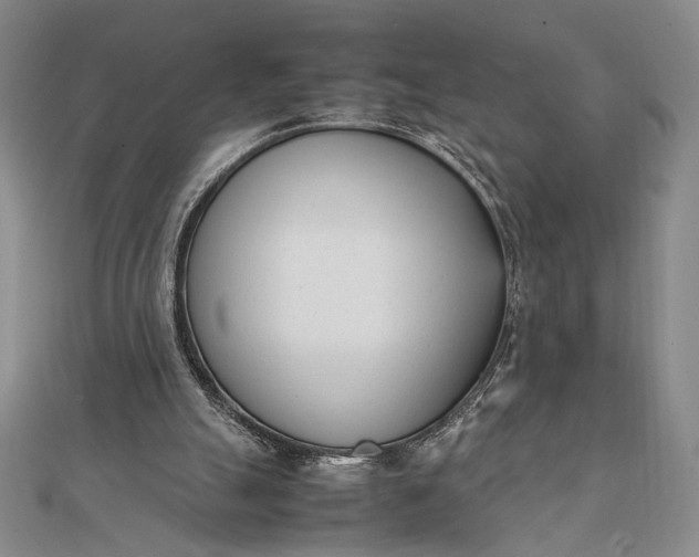 X0000111780055200908061124