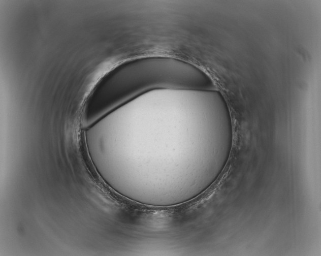 X0000111780056200908061124