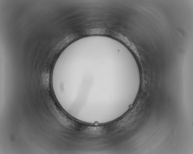 X0000111780057200908061124