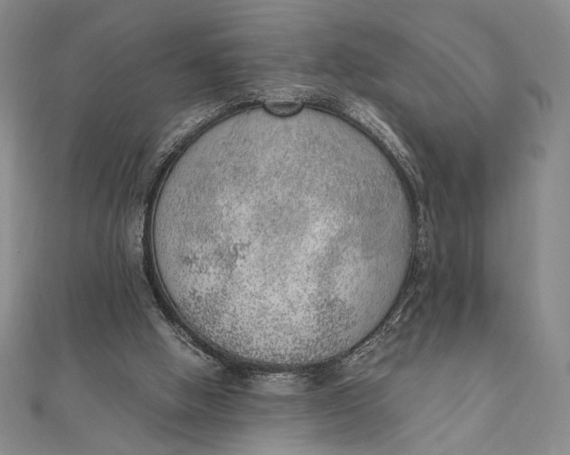 X0000111780058200908061124