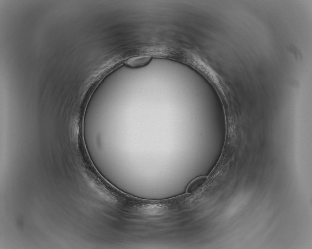 X0000111780059200908061124