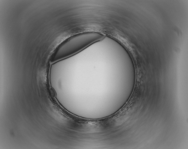 X0000111780060200908061124