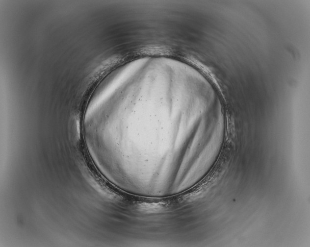 X0000111780061200908061124