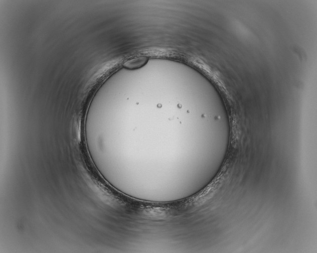 X0000111780062200908061124