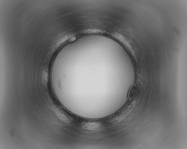 X0000111780063200908061124