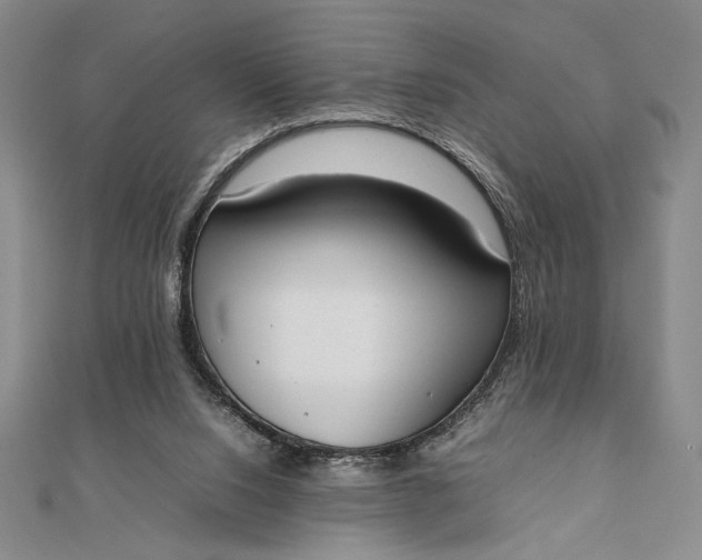 X0000111780064200908061124