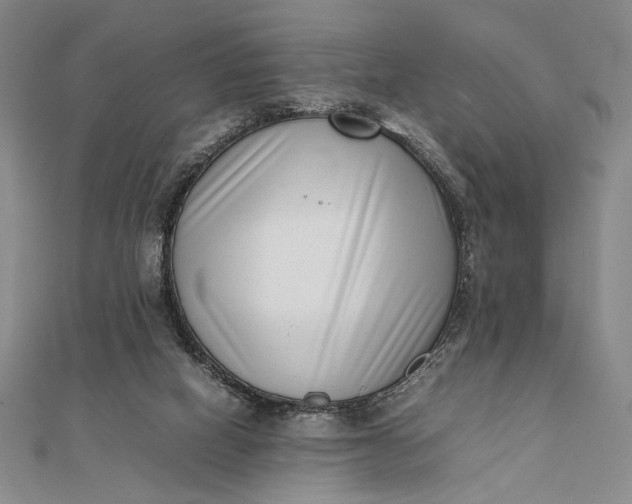 X0000111780066200908061124