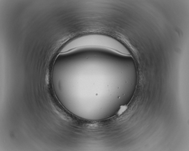 X0000111780068200908061124