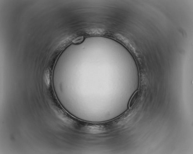 X0000111780069200908061124
