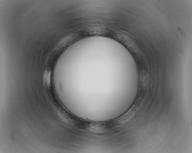 X0000111780070200908061124