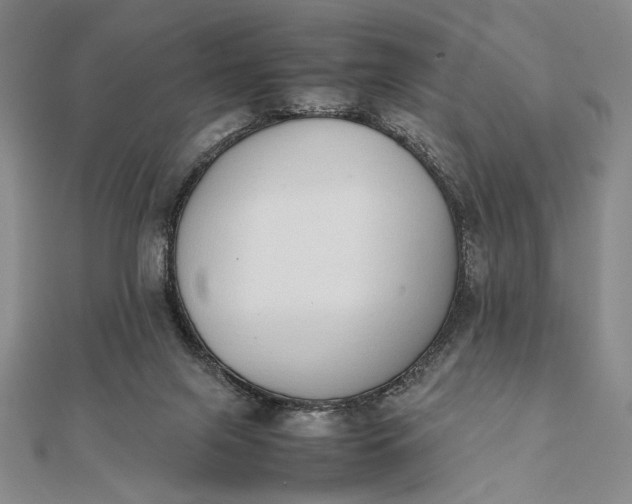 X0000111780071200908061124