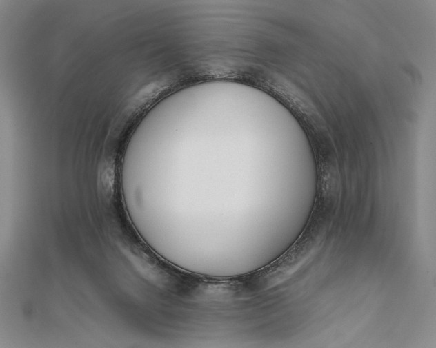 X0000111780072200908061124