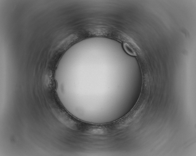 X0000111780073200908061124