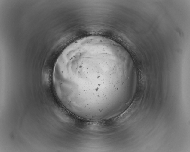 X0000111780074200908061124
