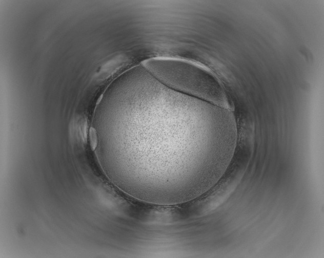 X0000111780076200908061124