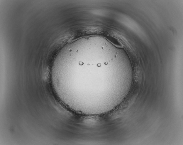 X0000111780077200908061124