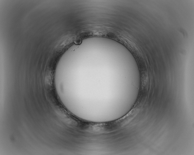 X0000111780078200908061124