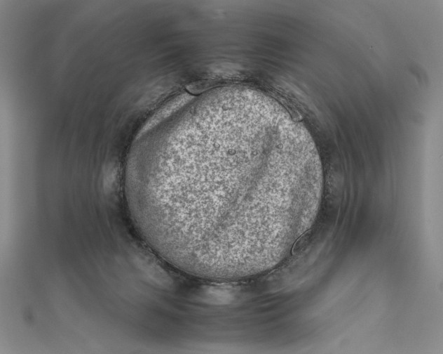X0000111780079200908061124