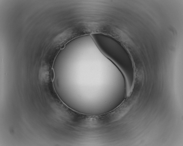 X0000111780080200908061124