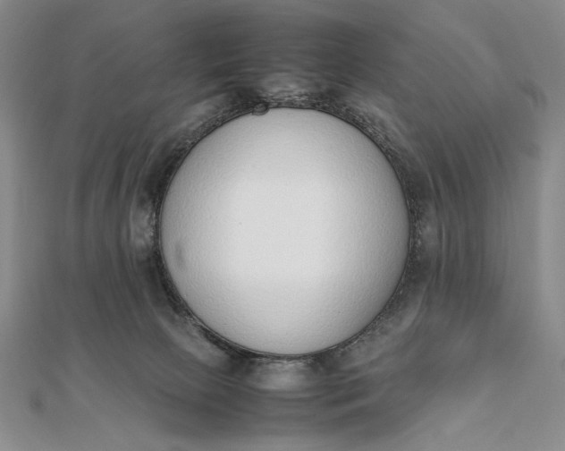 X0000111780081200908061124