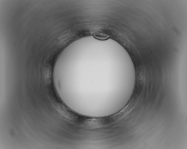 X0000111780082200908061124