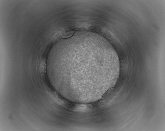 X0000111780083200908061124