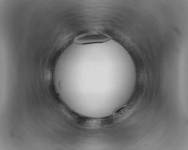 X0000111780084200908061124