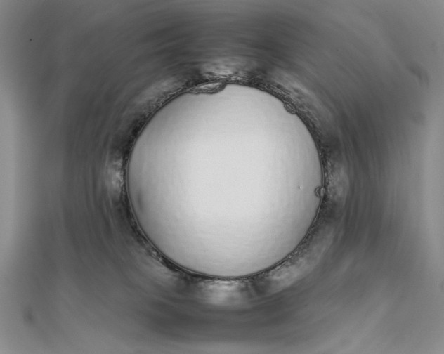 X0000111780085200908061124