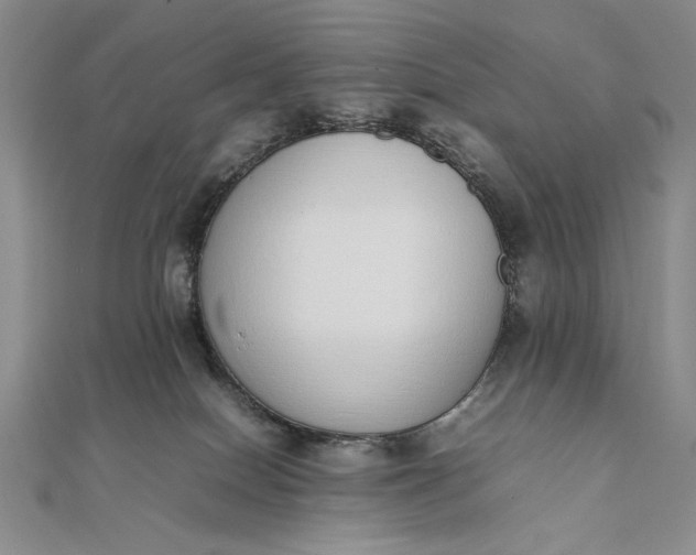 X0000111780086200908061124