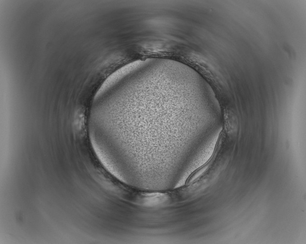 X0000111780087200908061124