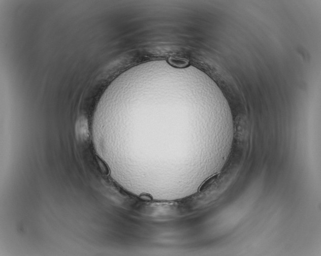 X0000111780089200908061124
