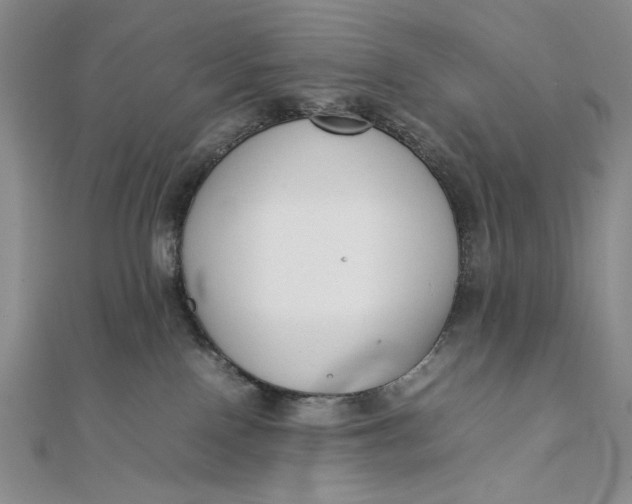 X0000111780090200908061124