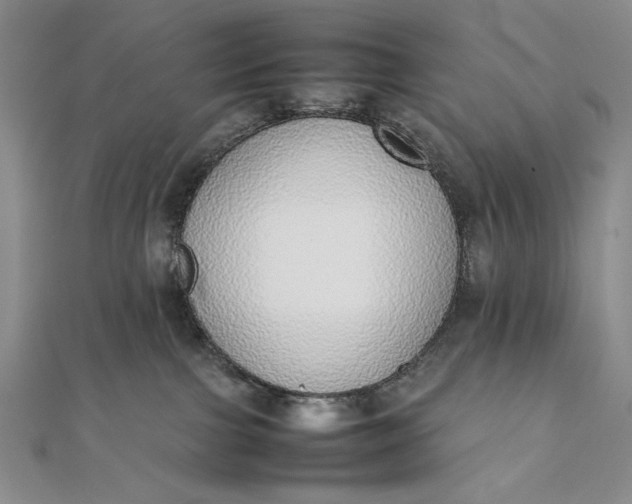X0000111780091200908061124