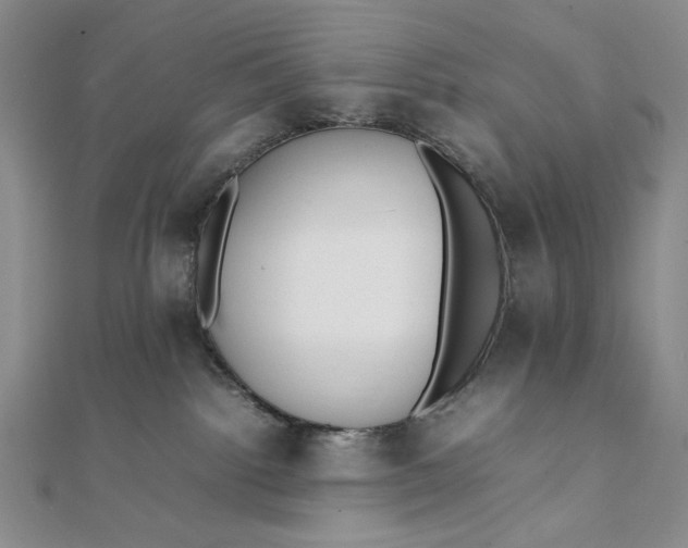 X0000111780092200908061124