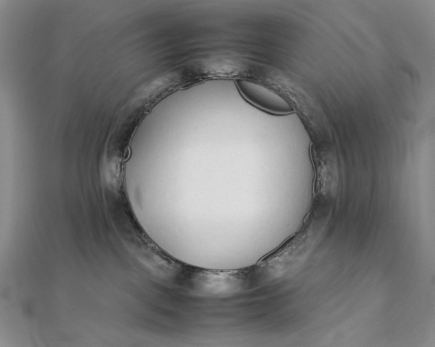 X0000111780093200908061124