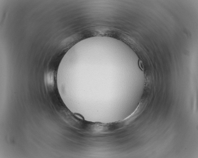 X0000111780094200908061124