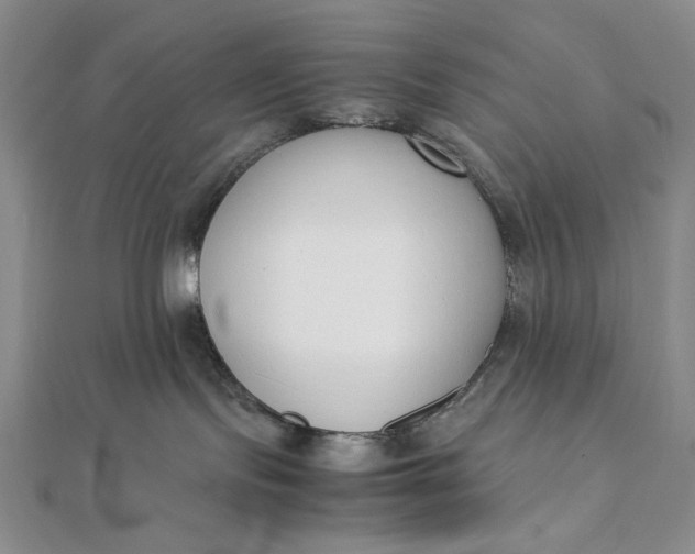 X0000111780095200908061124
