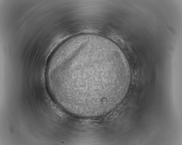 X0000111780098200908061124