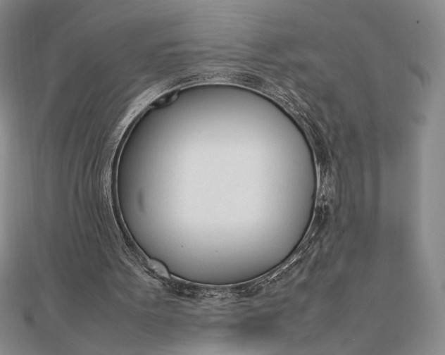 X0000111780099200908061124