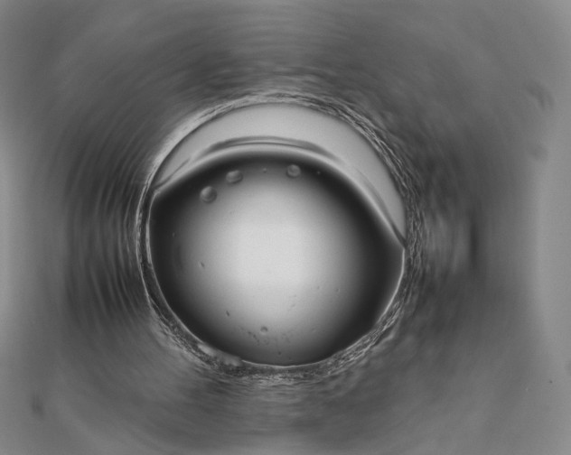 X0000111780100200908061124
