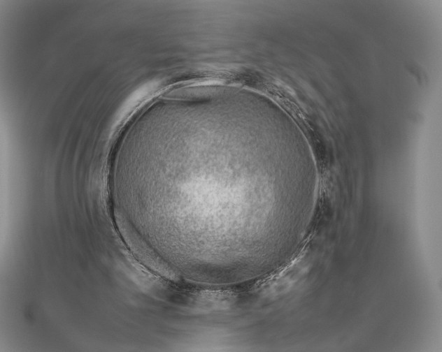 X0000111780101200908061124