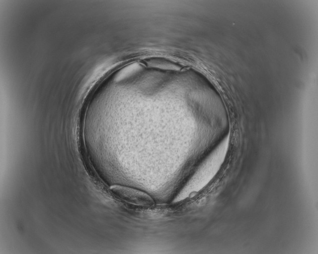 X0000111780103200908061124