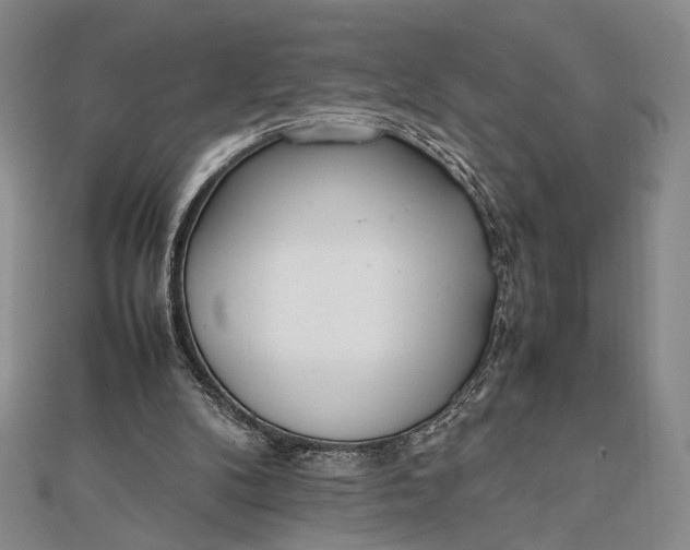 X0000111780104200908061124