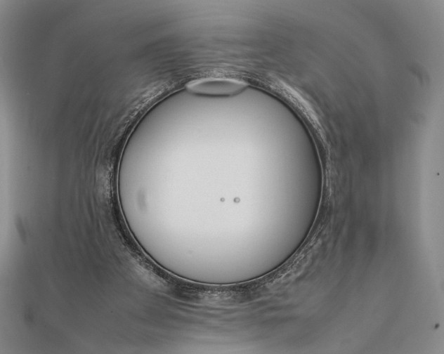 X0000111780105200908061124