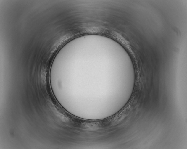 X0000111780106200908061124